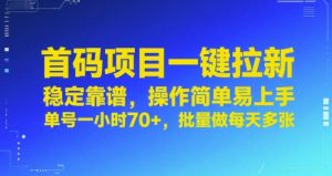 首码项目一键拉新,稳定靠谱,操作简单易上手,单号一小时70+,批量做每天多张【揭秘】-网赚项目众筹网
