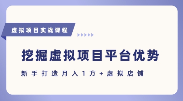 抓住虚拟项目各平台优势，新手轻松月入1W+(给出具体建议)-网赚项目众筹网