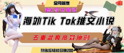 海外tiktok小说推文暴力项目，高停留率，高转化率，上手后一天搞顿饭钱不是问题-网赚项目众筹网