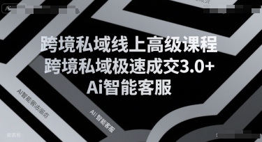 跨境私域线上高级课程，跨境私域极速成交3.0+Ai智能客服-网赚项目众筹网