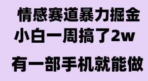 情感暴力掘金项目,新人操作一周挣了2W,长期稳定小白可做【揭秘】-网赚项目众筹网