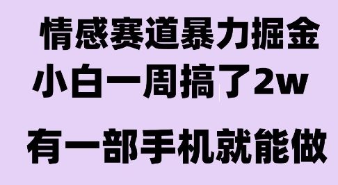 情感暴力掘金项目，新人操作一周挣了2W，长期稳定小白可做【揭秘】-网赚项目众筹网