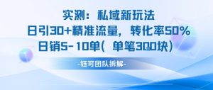 实测私域新玩法日引30加精准流量转化率50%日销5-10单每笔3张-网赚项目众筹网