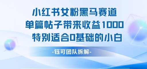 小红书女粉黑马赛道单篇帖子带来收益1k+，特别适合0基础的小白-网赚项目众筹网