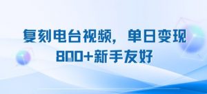 复刻电台视频,单日变现8张+新手友好,长期可做-网赚项目众筹网