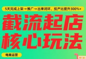 淘宝截流快速起店玩法,掌握暴力快速起店的流程,5天完成上架-推广-出单闭环-网赚项目众筹网