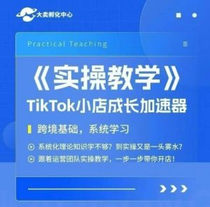 大卖家孵化中心TikTok实操课,TikTok小店成长加速器,跨境基础系统学习,一步一步带你开店-网赚项目众筹网