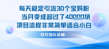 每天稳定引流30个人 当月变成超过了4个W项目流程非常简单适合小白-网赚项目众筹网