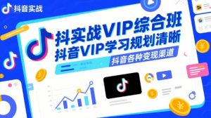 抖音实战VIP综合班,抖音VIP学习规划请晰抖音各种变现渠道-网赚项目众筹网