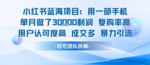 小红书蓝海项目,一部手机单月做了3W利润,小白也能月入过1W用户认可度高成交多-网赚项目众筹网