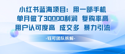 小红书蓝海项目，一部手机单月做了3W利润，小白也能月入过1W用户认可度高成交多-网赚项目众筹网