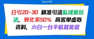 日引 20-30 精准引流私域新玩法,转化率50% 高客单虚拟资料,小白一台手机就能做-网赚项目众筹网
