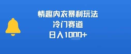 情趣内衣暴利玩法，冷门赛道，日入1k+-网赚项目众筹网