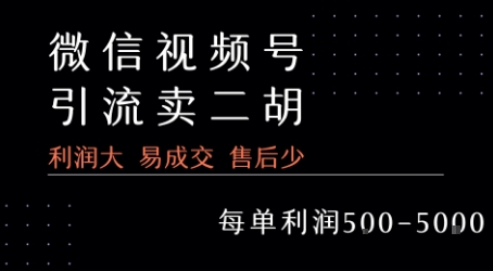 视频号卖二胡教程，利润大 易成交 售后少，一单利润5张+-网赚项目众筹网