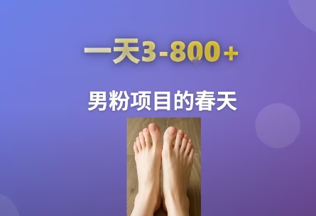 AI一键生成美女素材，一天收益3-8张，男粉项目的春天-网赚项目众筹网