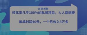 转化率最高的私域项目,每单利润40-50米,月入过1w-网赚项目众筹网