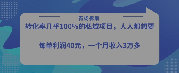 转化率最高的私域项目，每单利润40-50米，月入过1w-网赚项目众筹网