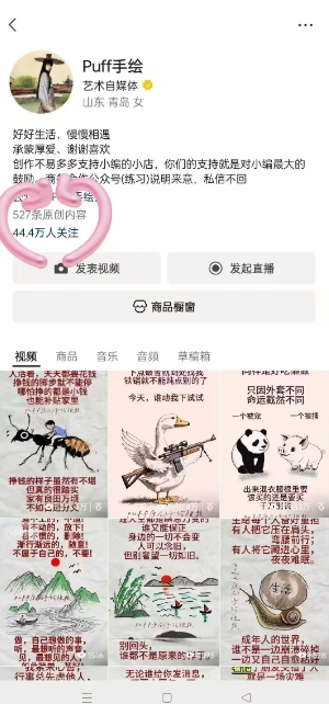 Puff手绘视频号分成项目，三天过分成计划，简单易上手，适合新手-网赚项目众筹网