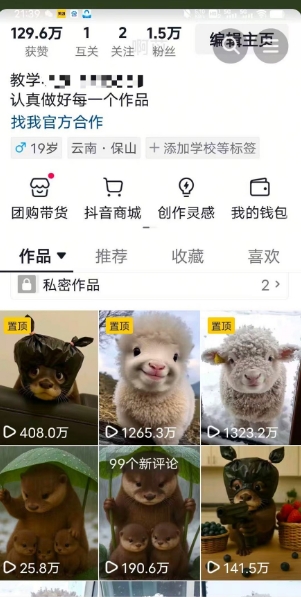 抖音65W博主AI萌宠课程，新赛道流量大，原创+二创，全套课程+提示词-网赚项目众筹网