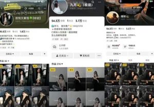 抖音图文文案赛道新玩法,快速养号起号,广告收益分成+橱窗带货+教学收徒等-网赚项目众筹网