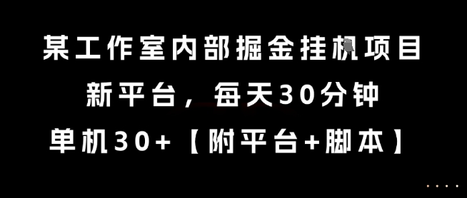 某工作室内部掘金挂G项目，新平台，每天30分钟，单机30+【揭秘】-网赚项目众筹网