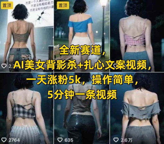 全新赛道，AI美女背影杀+扎心文案视频，一天涨粉5k，操作简单，5分钟一条视频-网赚项目众筹网