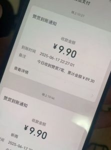 二次元男粉快速变现项目,私域卖虚拟产品,百分利润-网赚项目众筹网
