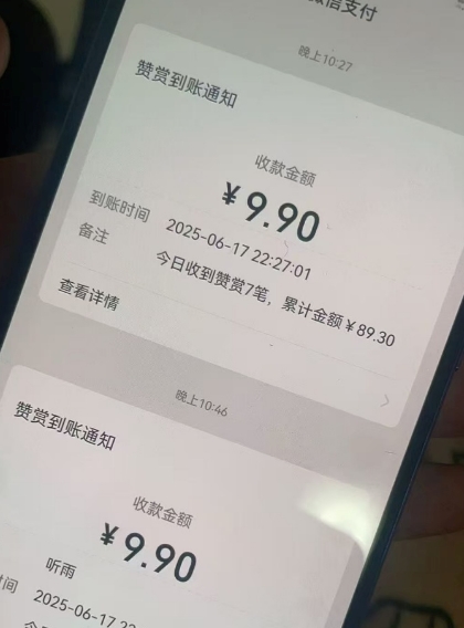 二次元男粉快速变现项目，私域卖虚拟产品，百分利润-网赚项目众筹网