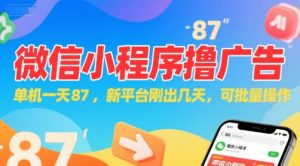 微信小程序看广告,单机一天87,新平台刚出几天,可批量操作,日入5张-网赚项目众筹网