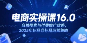 淘宝电商运营课16.0,自然搜索与付费推广攻略,2025年标品非标品运营策略-网赚项目众筹网