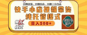 快手小店托管代运营,无需剪辑,无需选品,无需上传作品,全程无需操作,轻松月入5k+【揭秘】-网赚项目众筹网