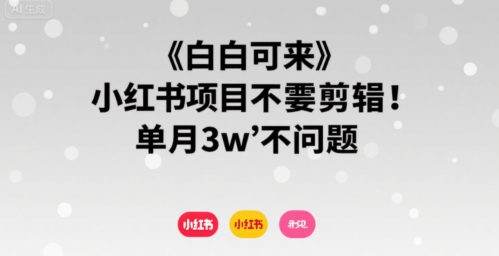 小白可来 小红书项目不需要剪辑 单月3w不是问题-网赚项目众筹网