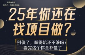 25年,你还在疯狂的找项目吗?别傻了,看完这个你都懂了【揭秘】-网赚项目众筹网