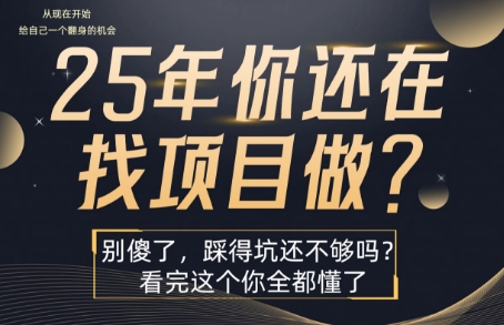 25年，你还在疯狂的找项目吗？别傻了，看完这个你都懂了【揭秘】-网赚项目众筹网