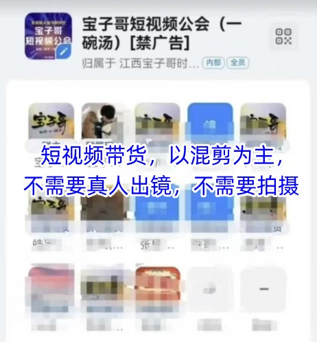 宝子哥头部团队短视频带货，以混剪为主，不需要真人出镜，不需要拍摄【更新8月】-网赚项目众筹网