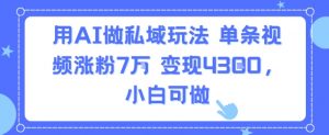 用AI做私域玩法,单条视频涨粉7W变现4.3k,小白可做-网赚项目众筹网