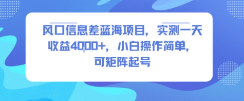 风口信息差蓝海项目，实测一天收益4k+，小白操作简单，可矩阵起号-网赚项目众筹网
