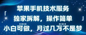 苹果手机技术服务，独家拆解，操作简单，小白可做，月过1W不是梦-网赚项目众筹网