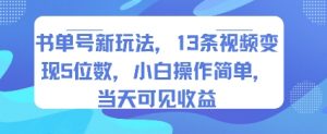 书单号新玩法，13条视频变现5位数，小白操作简单，当天可见收益-网赚项目众筹网