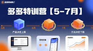 多多特训营【5-7月】产品决定上限，方法决定下限，各种玩法技巧落地实操-网赚项目众筹网