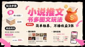小说推文小红书多图文玩法,简单粗暴,万播收益3张-网赚项目众筹网