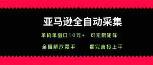 亚马逊全自动采集,单机单窗口一天10+,可无限矩阵去做【揭秘】-网赚项目众筹网