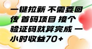 一键拉新 不需要回传 首码项目 接个验证码就算完成 一小时收益70+【揭秘】-网赚项目众筹网