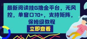 最新阅读挂G撸金平台,无风控,单窗口70+,支持矩阵,保姆级教程【揭秘】-网赚项目众筹网