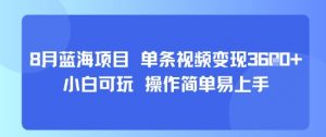 8月AI蓝海项目,单条视频变现1k+ 小白可玩 操作简单易上手-网赚项目众筹网