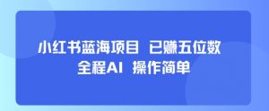 小红书蓝海项目,全程AI,操作简单,已挣五位数-网赚项目众筹网