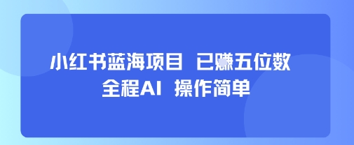 小红书蓝海项目，全程AI，操作简单，已挣五位数-网赚项目众筹网