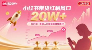 一年时间靠小红书带货项目年入20w+,最不能错的大红利项目-网赚项目众筹网