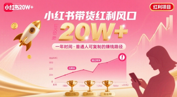 一年时间靠小红书带货项目年入20w+，最不能错的大红利项目-网赚项目众筹网