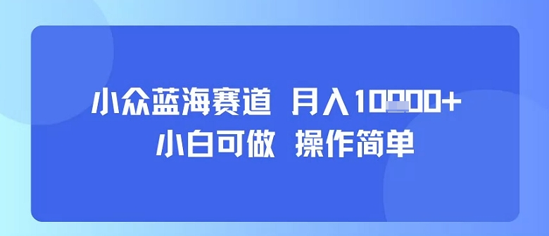 小众蓝海赛道，小白可做，操作简单，每天30分钟，月入1W+-网赚项目众筹网